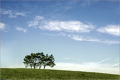 photo "***"