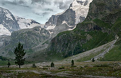 photo "***"
