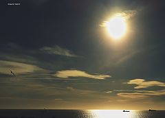 фото "horizon"