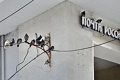 фото "***"