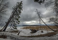 фото "Весеннее напряжение"