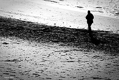 photo "a solitary walk"
