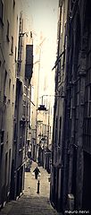 фото "the alley"