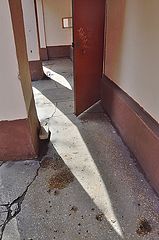 фото "***"
