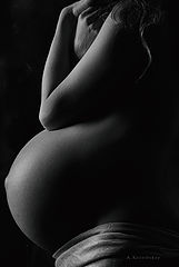 photo "Krivitskiy"