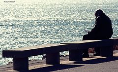 photo "alone"