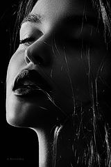 photo "Krivitskiy"