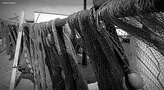 photo "nets"