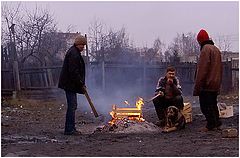 фото "На дне"