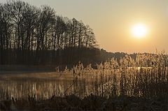photo "***"