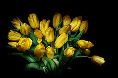 photo "***"