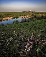 photo "Donetsk steppe"