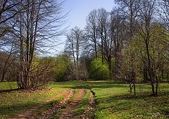 фото "В конце апреля"