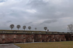 photo "***"