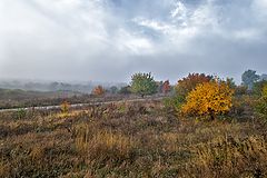 photo "Autumn sketch"