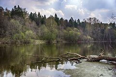 фото "Фрагмент весны"