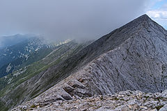 photo "***"