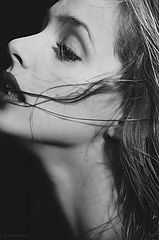 photo "Krivitskiy"