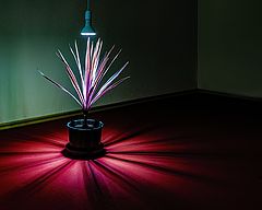 photo "Radiant Energy"