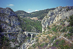 фото "Лаванда"