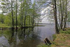 фото "Весенняя"