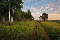 photo "***"