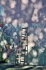 фото "***"