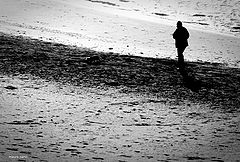 photo "a walk alone"