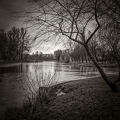 photo "***"
