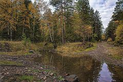 фото "В осеннем лесу"