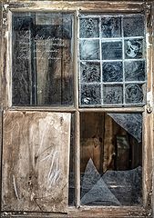 photo "Widow"