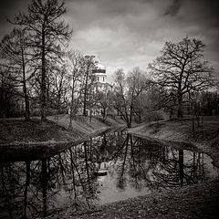 photo "***"