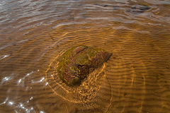photo "***"