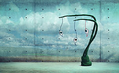 photo "***"