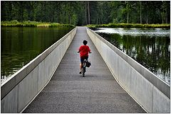 photo "Cycling through the water"