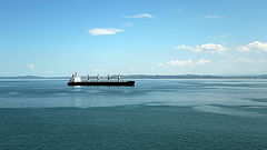 photo "A calm"