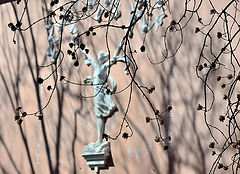 photo "***"