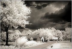 фото "My first infrared photo"