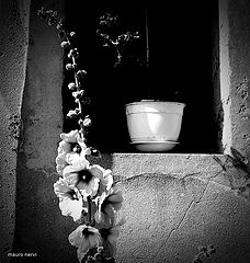 photo "the corner"