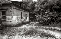 photo "***"