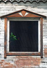 photo "***"