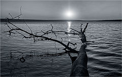 photo "***"
