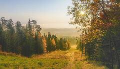 фото "Туманное утро"