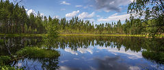 фото "Лесное озеро"