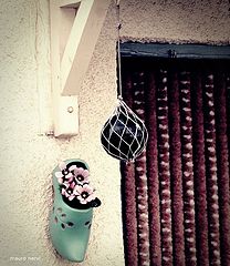 photo "home, sweet home"