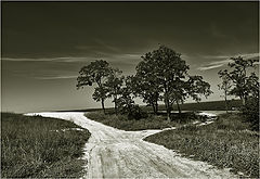 photo "***"