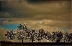 photo "***"