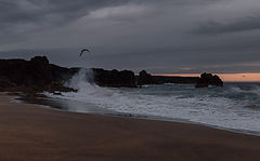photo "***"