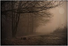 photo "***"