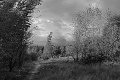 photo "***"